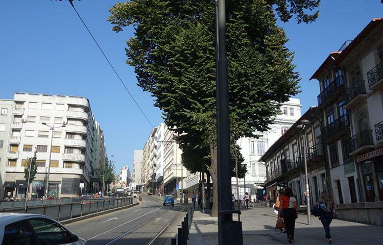Ceuta Inn Porto Luaran gambar